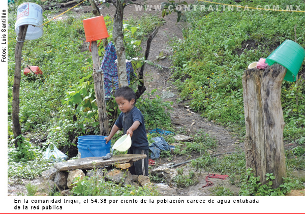 Comunidad Ttriqui