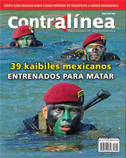 Contralínea 335