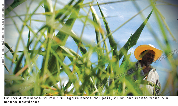 agricultores-pais-600