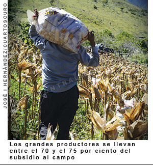 grandes-productores-300