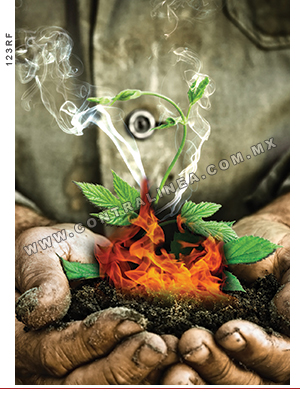 lucha-ambiental-494-02
