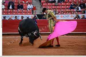 Las comisiones de Puntos Constitucionales y de Iniciativas Ciudadanas del Congreso de la CDMX aprobaron la propuesta para permitir corridas de toros sin violencia
