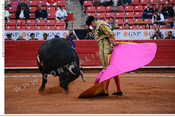 Las comisiones de Puntos Constitucionales y de Iniciativas Ciudadanas del Congreso de la CDMX aprobaron la propuesta para permitir corridas de toros sin violencia