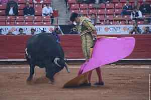 Congreso de CDMX aprueba corridas de toros sin violencia; prohíben lamuerte del toro y el uso de objetos punzantes para priorizar el bienestar animal