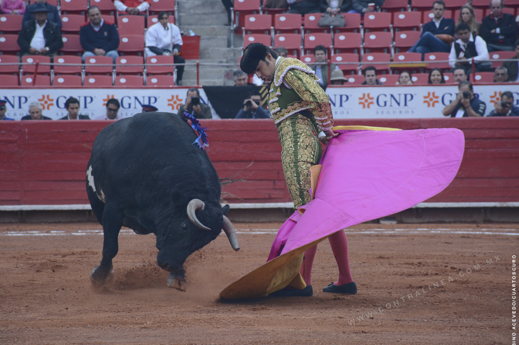 Congreso de CDMX aprueba corridas de toros sin violencia; prohíben lamuerte del toro y el uso de objetos punzantes para priorizar el bienestar animal