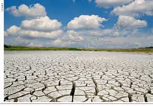 Crisis climática en Sundarbans (India) fuerza a recolectores de miel a migrar, perdiendo su cultura y conocimiento ancestral.