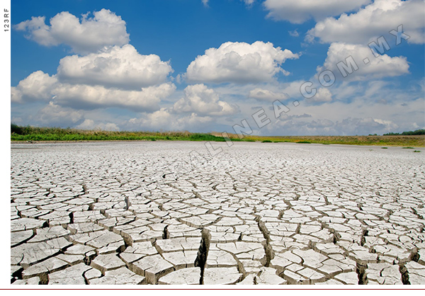 COP30 en Belém priorizará adaptación y salud ante fracaso en mitigación; Brasil presentará un plan de acción global