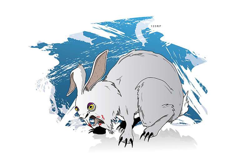 Bad Rabbit