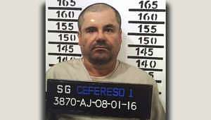 el chapo