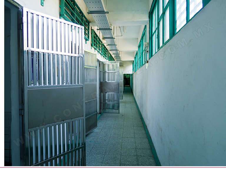 El Centro de Derechos Humanos y Asesoría a Pueblos Indígenas CEDHAPI) denunció la detención arbitraria del defensor del territorio Florentino