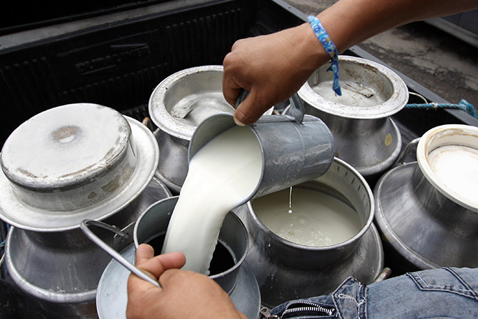 Productores de leche
