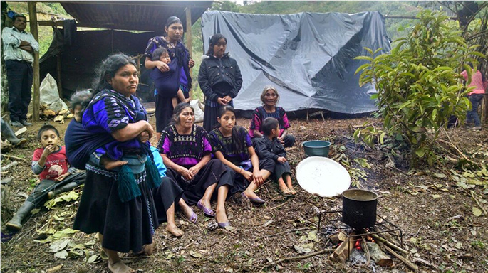 indigenas