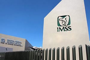 IMSS organiza mundialitos de futbol y Street Child World Cup 2026. Participan mujeres, adultos mayores y niños con Síndrome de Down