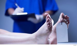 médico forense analizando un cuerpo