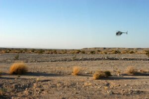 entre enero y agosto de 2021 se encontró el cuerpo de un menor, 37 varones y 8 mujeres.