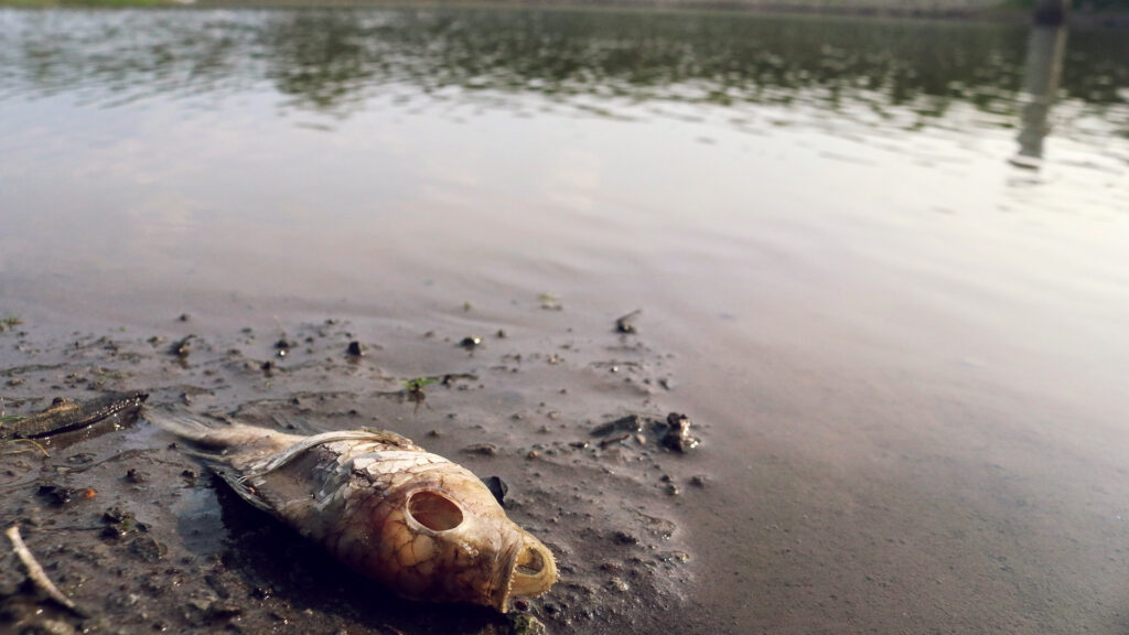 Sequías debido al cambio climático 