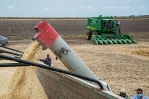 La Secretaría de Agricultura y Desarrollo Rural prepara un decreto para fortalecer la reforma a los artículos 4 y 27 de la Constitución