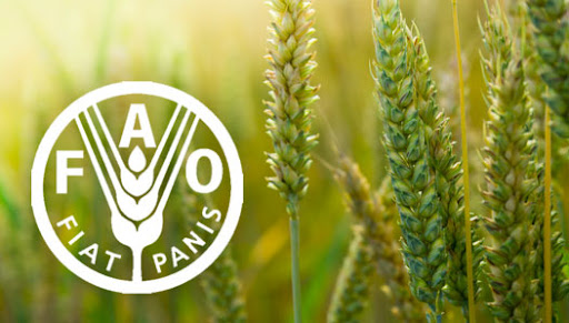 Organización de las Naciones Unidas para la Agricultura y la Alimentación (FAO)