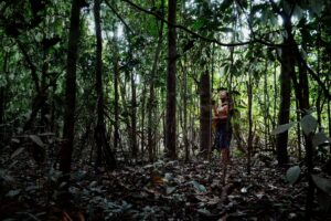 Amazonia