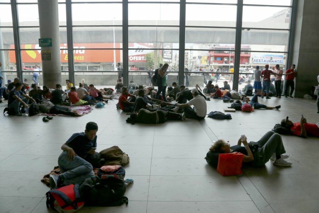 migración