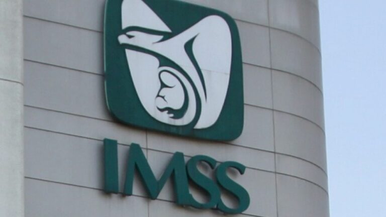 En octubre se generaron 198 mil empleos formales; el IMSS reporta alza salarial y mayor participación de mujeres