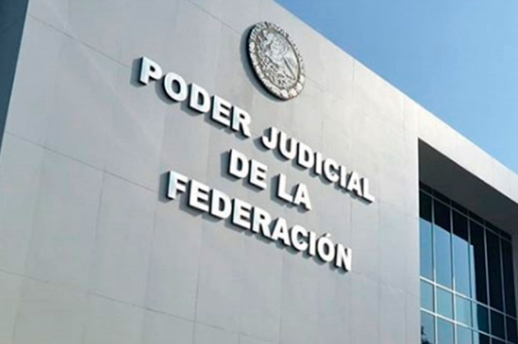 Renuncian los cinco integrantes del Comité de Evaluación del PJF luego de que el TEPJF solicitara al Senado sustituir las actividades