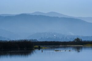 Omisiones ponen en riesgo ecosistemas costeros y marinos únicos