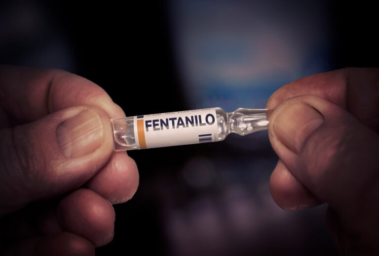 80% de los detenidos por tráfico de fentanilo en EE.UU. son estadounidenses,según estudio citado por Sheinbaum