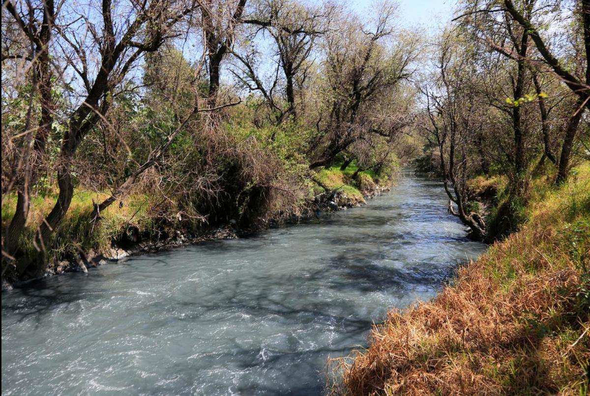 Las autoridades encargadas del saneamiento del río Atoyac no tienen un plan integral hasta ahora, advirtió una organización