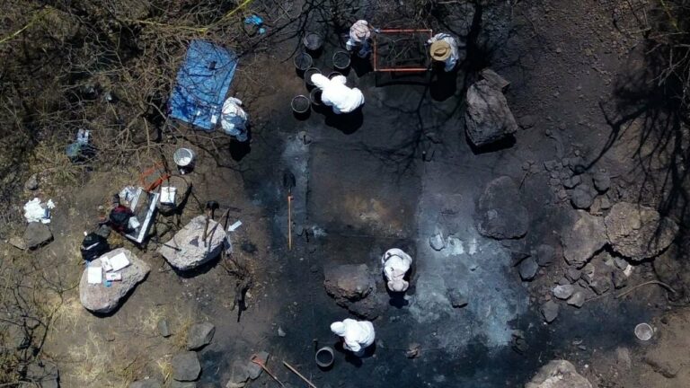 El titular de la FGJCDMX, Ulises Lara, detalló que los 14 elementos óseos encontrados en un crematorio clandestino, son de origen animal