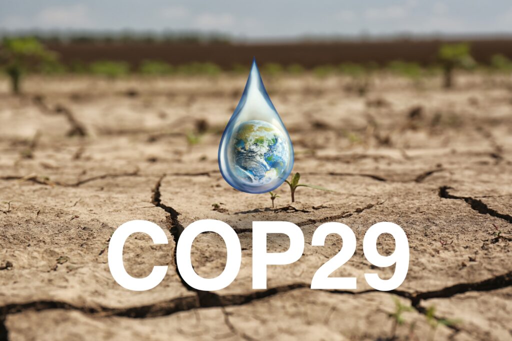 Las Conferencias de las Naciones Unidas sobre el Clima (COP, Conferencia de las Partes) son un fiasco y un fracaso rotundo