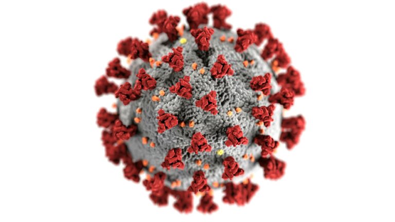 No hay motivo para emitir una alerta epidemiológica respecto almetapneumovirus humano (HMPV), señaló David Kershenobich