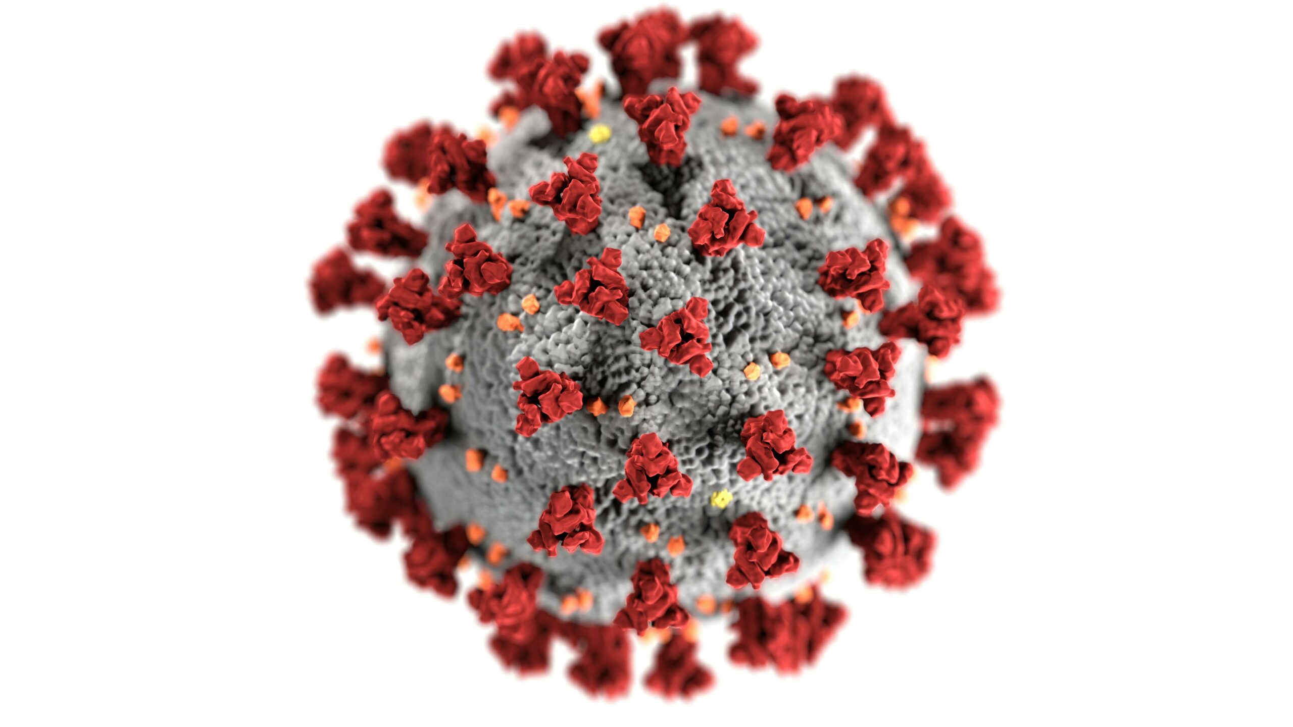 No hay motivo para emitir una alerta epidemiológica respecto almetapneumovirus humano (HMPV), señaló David Kershenobich