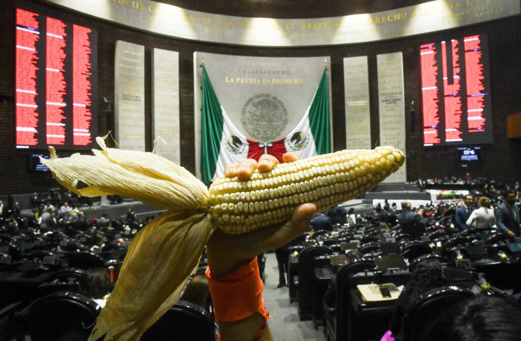 La Cámara de Diputados declaró reformados y adicionados los artículos 4 y 27 constitucionales en materia de conservación y protección de los maíces nativos.
