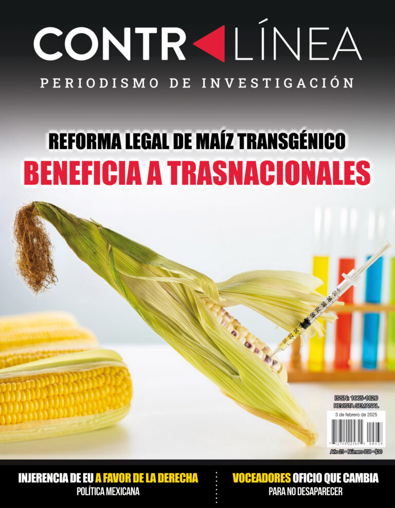 La propuesta de reforma para los maíces nativos de México no incluye ⁠la prohibición de consumo humano del grano genéticamente modificado