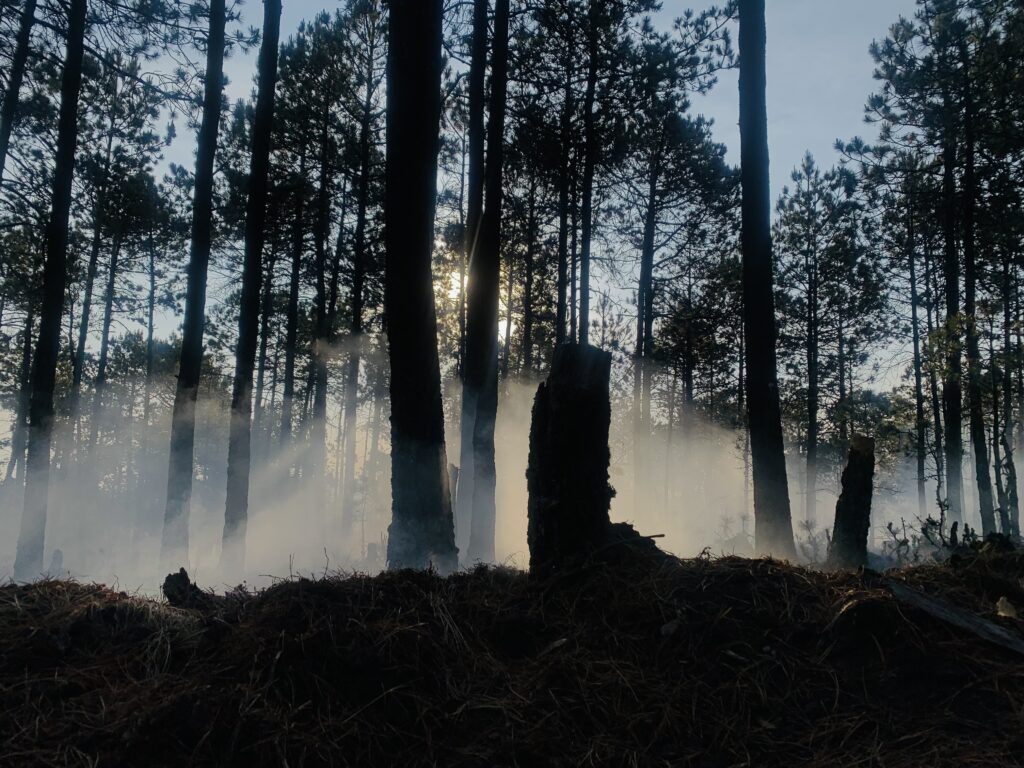 Conafor confirma fallecimiento de EleazarToleño Pajarito Guerrero, combatiente de la Brigada de Protección Forestal