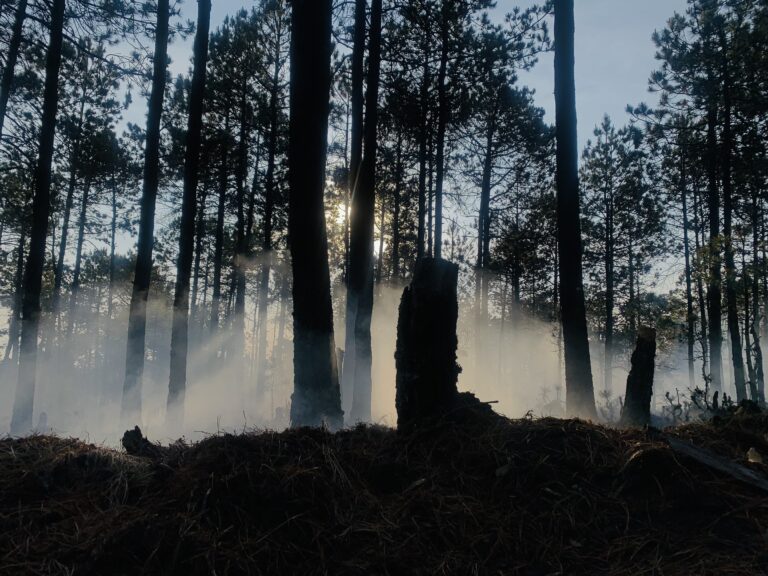 Conafor confirma fallecimiento de EleazarToleño Pajarito Guerrero, combatiente de la Brigada de Protección Forestal