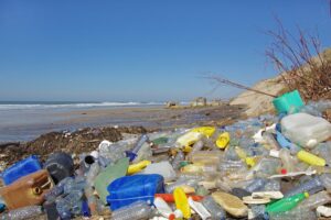 La secretaria de MedioAmbiente y Recursos Naturales (Semarnat), lanzan estrategia para limpiar residuos de plásticos en playas y costas