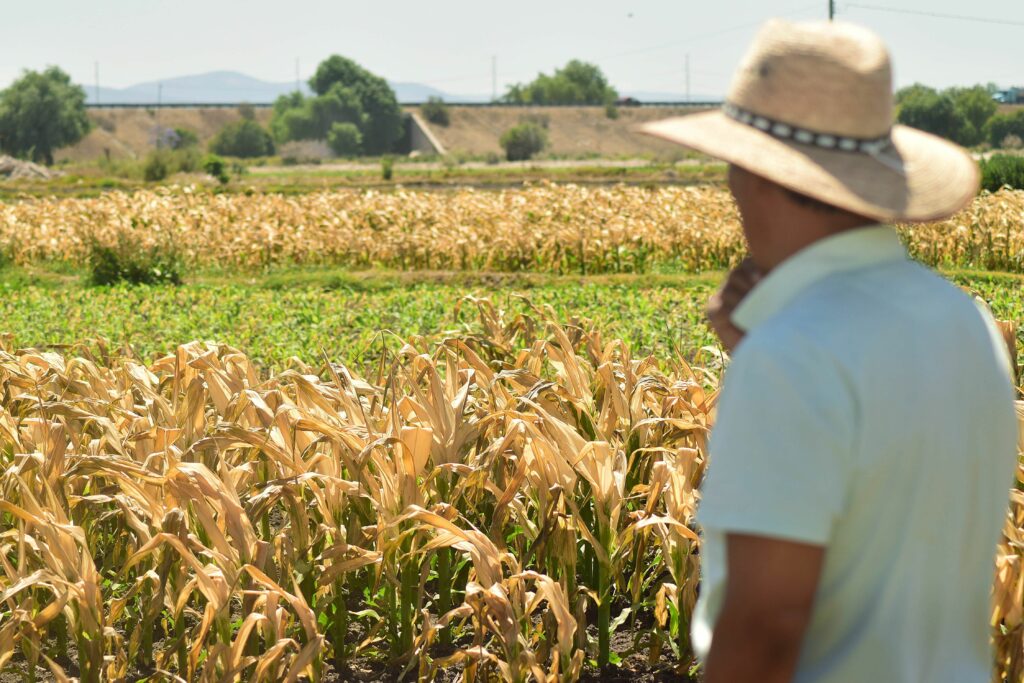 Crece la hostilidad de Washington contra México y el mundo. En esa situación, lamentablemente dependemos alimentariamente de Estados Unidos