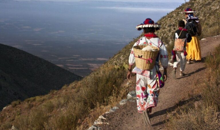 Para wixárikas, es un júbilo la designación de la Ruta Wixárika como Patrimonio de la Humanidad, dijo la presidenta del Conapred
