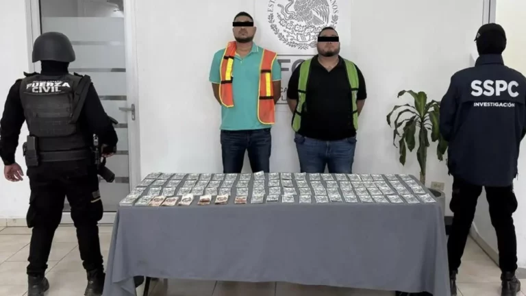 En tres distintas acciones, detuvieron a nueve presuntos integrantes del Cártel del Noreste en el estado de Nuevo León