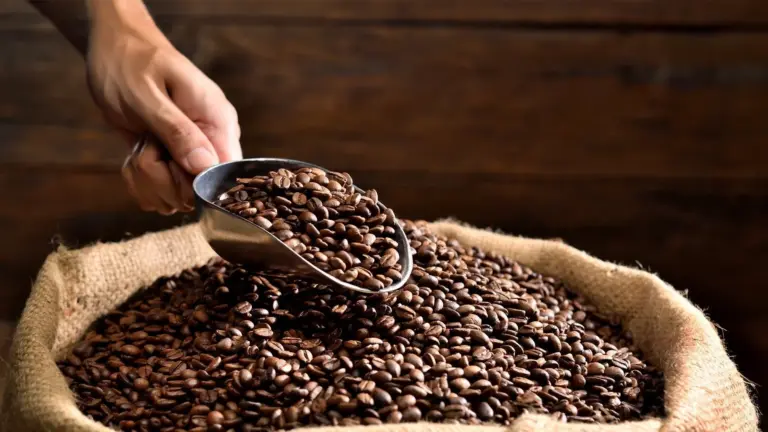 En la conferencia presidencial, presentaron el Café Bienestar, producto del trabajo de 6 mil 646 pequeños productores
