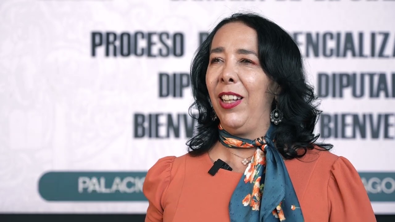 En caso de la diputada Hilda Brown y sus supuestos vínculos con el crimen organizado, esperaremos a que la investigación siga su curso: Ricardo Monreal