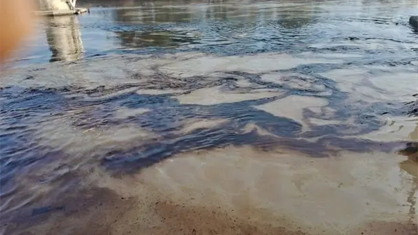 Sheinbaum confirma derrame de Pemex en río Pantepec, Veracruz, por deslave. Inician saneamiento con Marina y 3 empresas.