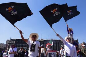 Crítica a la marcha del 15N y Claudio X. : el trasfondo de"Make Mexico fifí again", y la deuda de Salinas Pliego.