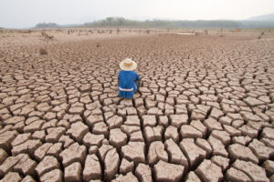 Agricultores de Cachemira enfrentan la crisis climática con deudas, mientras la COP30 prioriza préstamos sobre la ayuda directa.