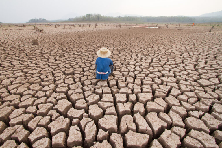Agricultores de Cachemira enfrentan la crisis climática con deudas, mientras la COP30 prioriza préstamos sobre la ayuda directa.